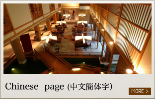 Chinese  page (中文簡体字）